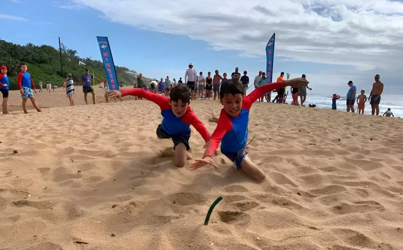 salt rock nippers 2