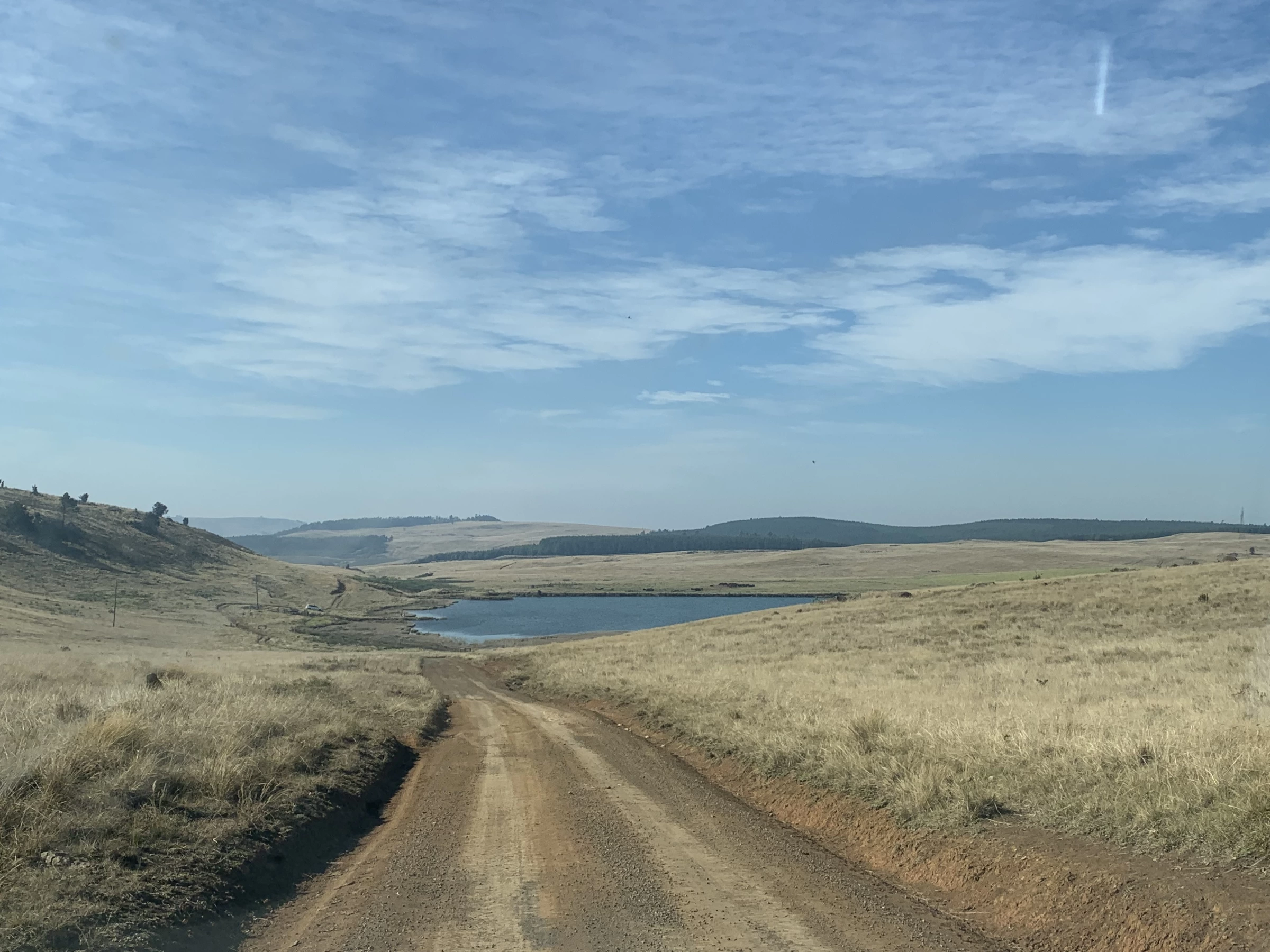 Dirt road leading to farm dam in Midlands grassland